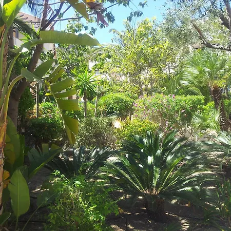 Apartament Duplex Vue Sur Et Pieds Dans L'eau De Pramousquier